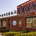 Le coronavirus n’a probablement pas fui d’un laboratoire en Chine