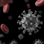 L’enquête de l’OMS sur l’origine du coronavirus à Wuhan critiquée par des scientifiques