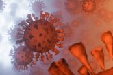 Le Vietnam découvre une nouvelle variante du coronavirus, hybride de l'Inde et des souches britanniques