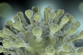 Le coronavirus est probablement venu d'un laboratoire chinois